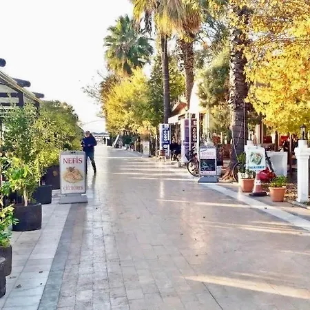 Egedeki Eviniz *
